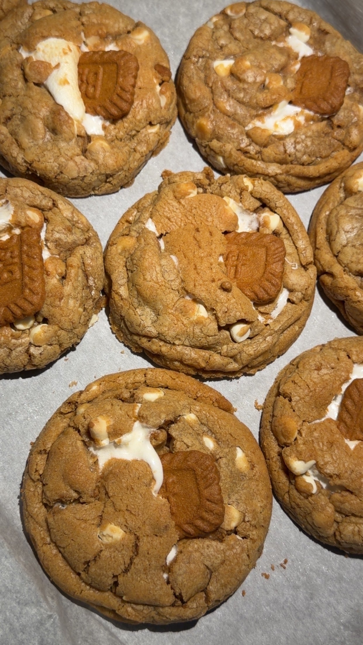 Biscoff S’mores Cookie