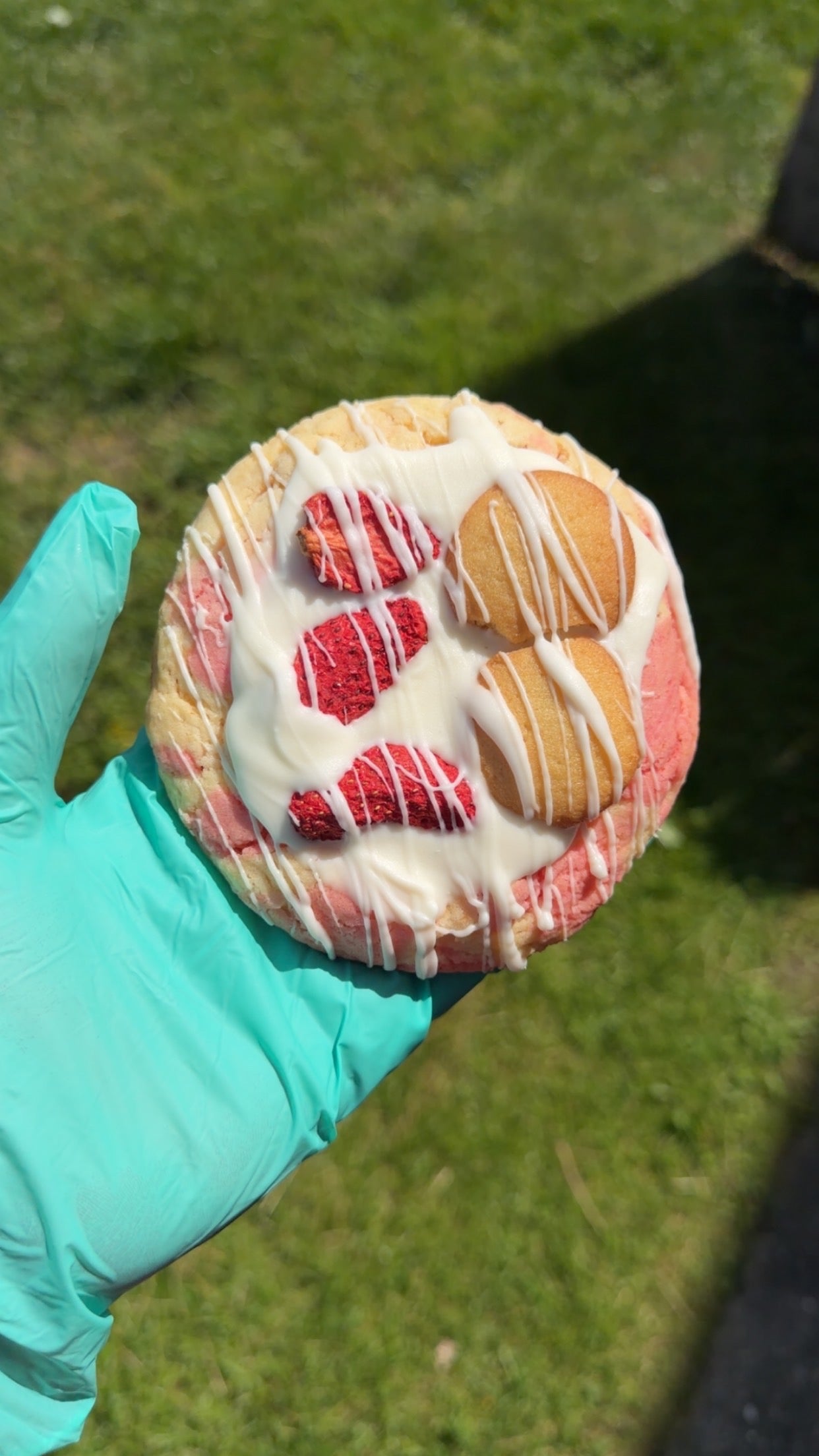 Strawberry Banana cookie